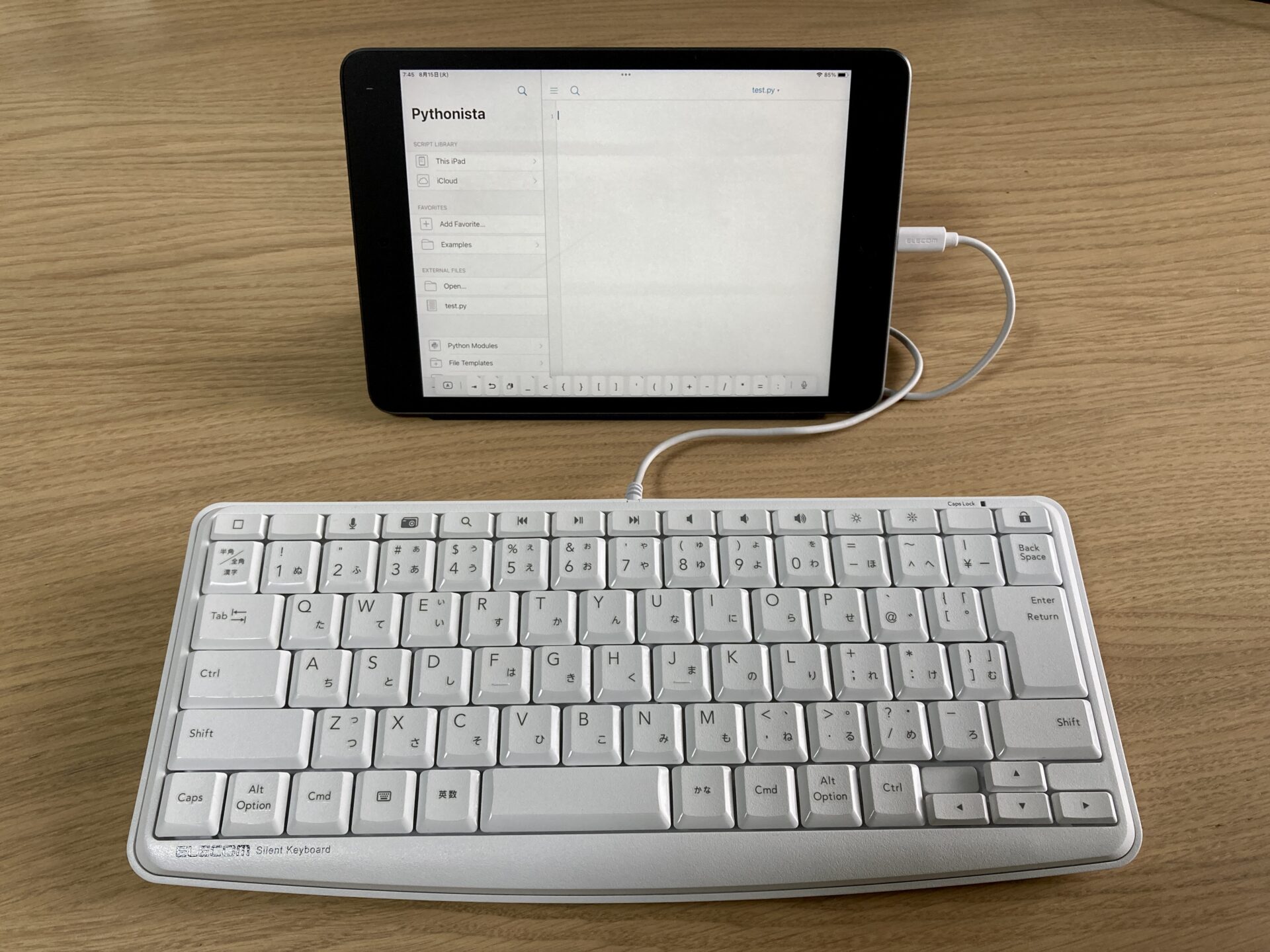 【Pythonista】iPadでPythonプログラミングができるアプリを紹介 | トビネズミと一緒にジャンプ!